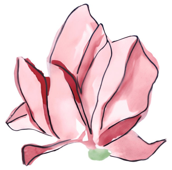 1 - Soteldo cropped logo png